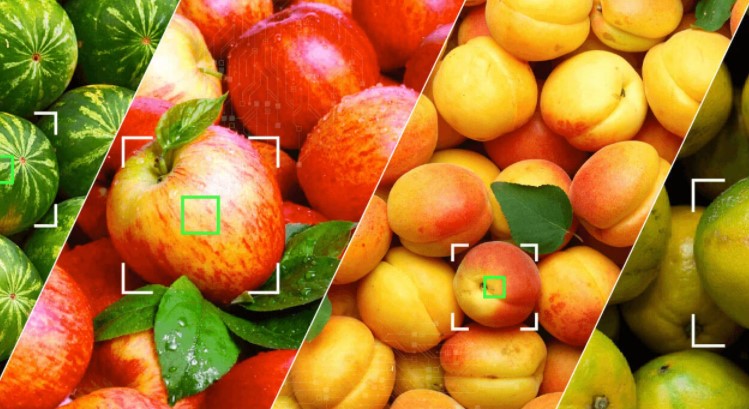 Communication Is Visual In Fresh Produce Quality. Why Aren’t You?