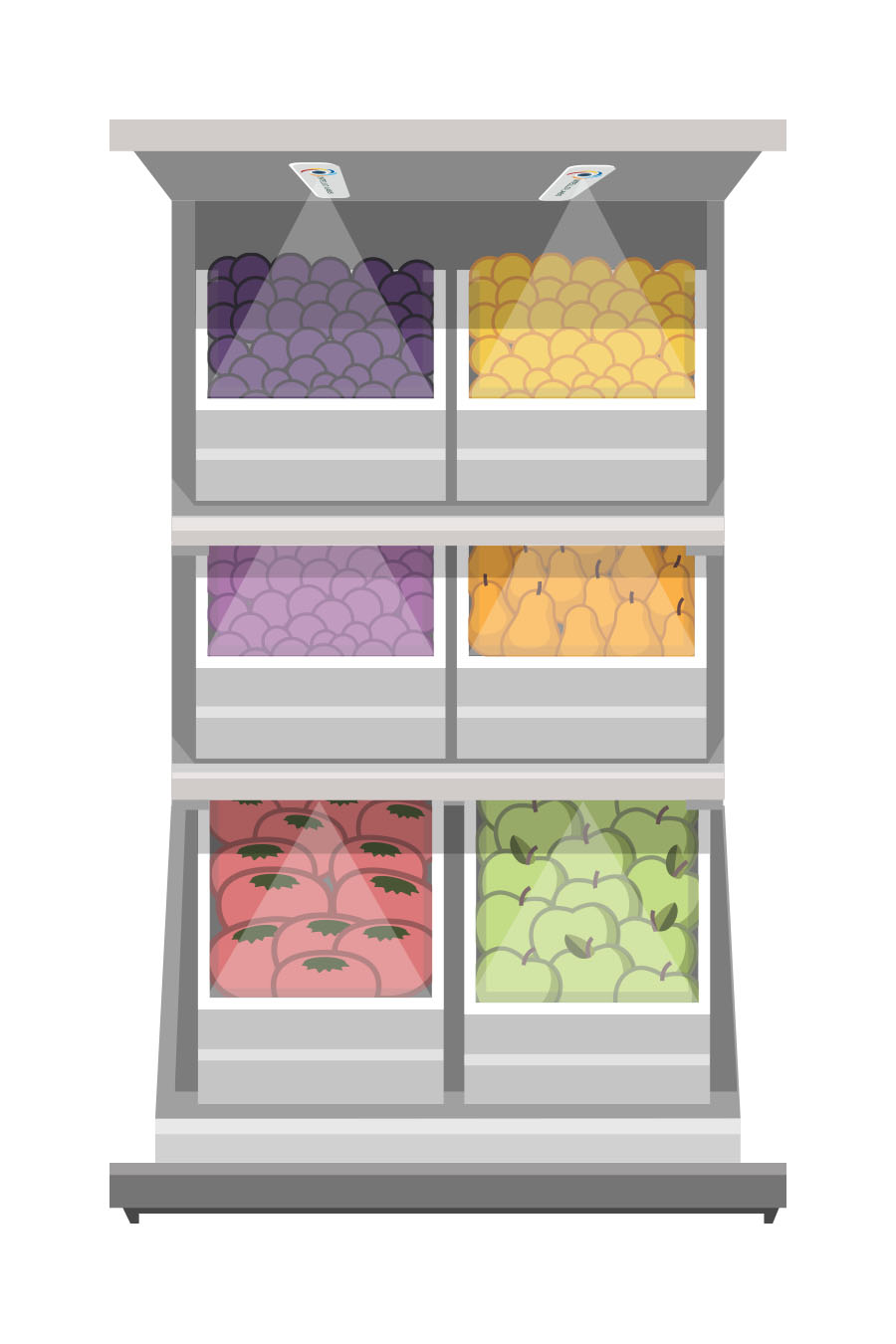 Shelf Vector-02